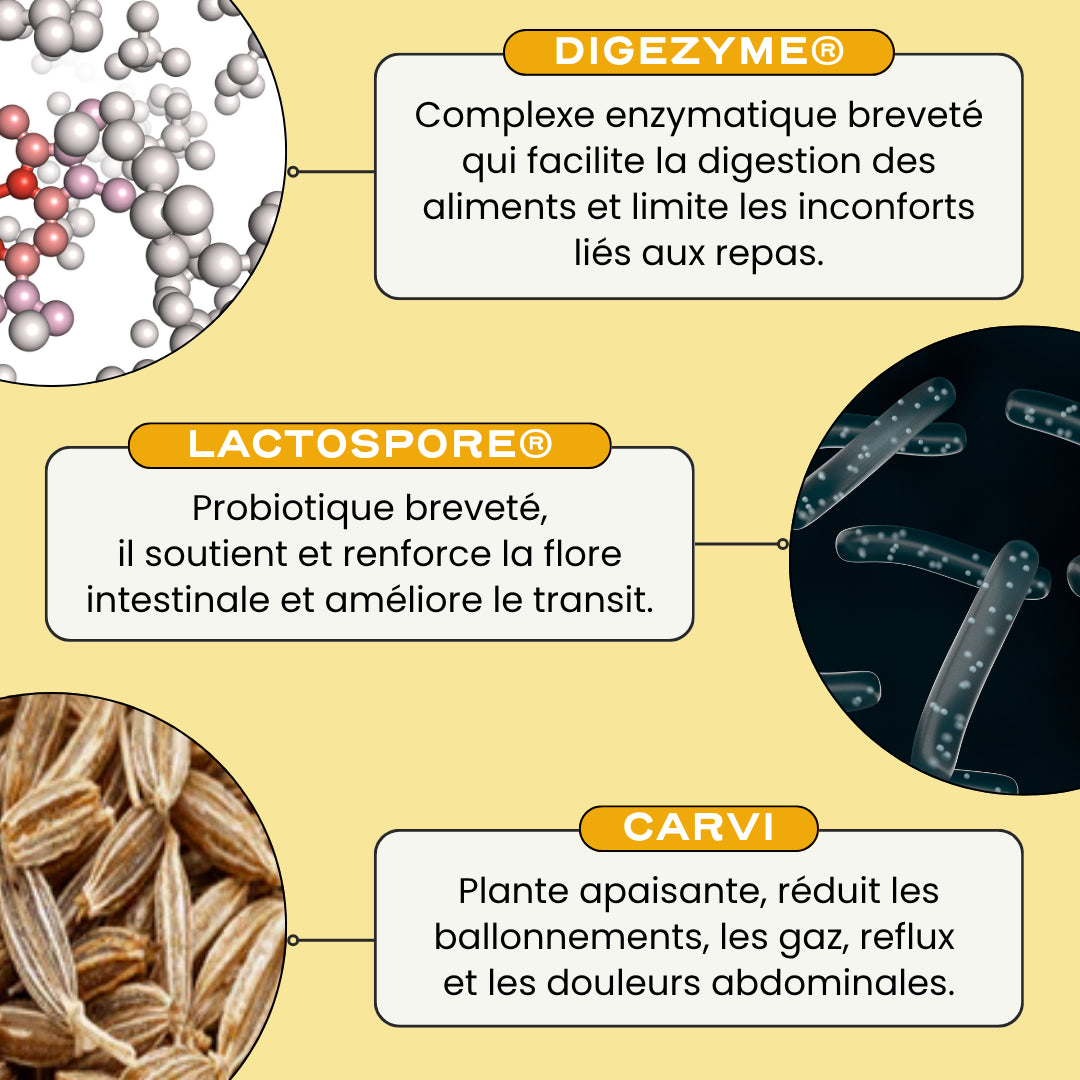 DIGEST