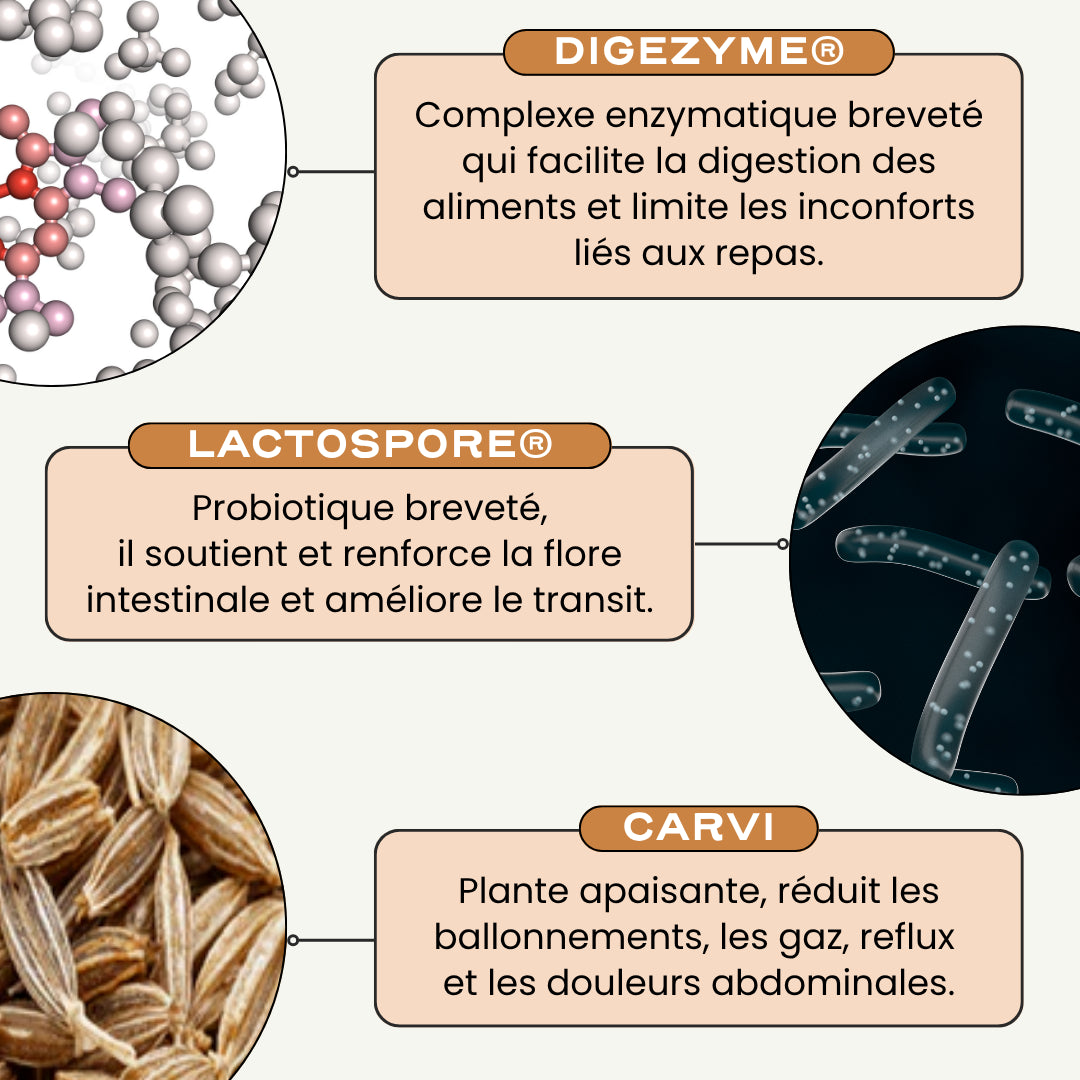 DIGEST