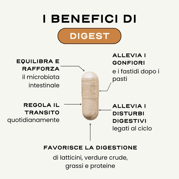 DIGEST