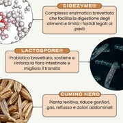 DIGEST