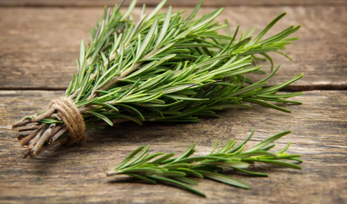Rosemary
